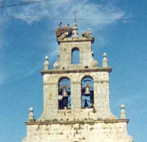 Foto colaboración de Miguel Angel Conejo de Pedro